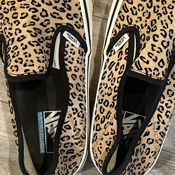 Cheetah Vans - Picture 5 of 5